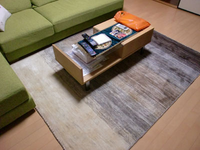 gabbe_111109_02.jpg