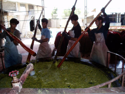 gabbe_111111_04.jpg