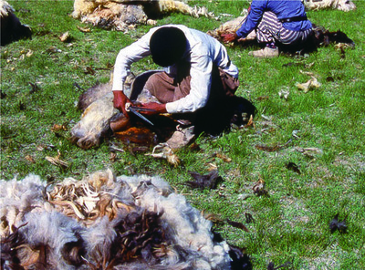 info_20141020_03.jpg